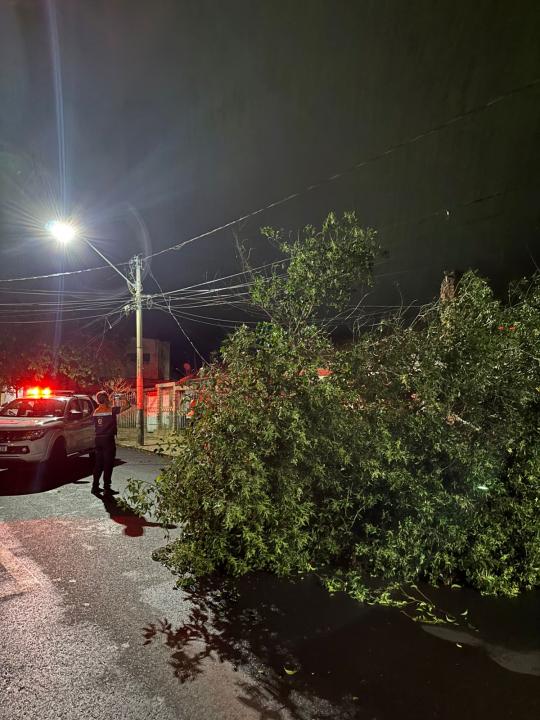 Foto 17 de 27 — Temporal volta a atingir Araraquara e provoca estragos em vários bairros; veja as fotos